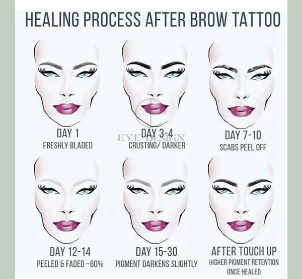 Eyebrow tattoo healing stages, healing process, and aftercare.